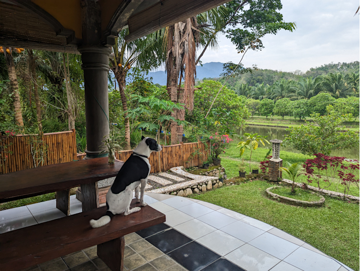 Cheeky Monkeys Cheeky Monkeys