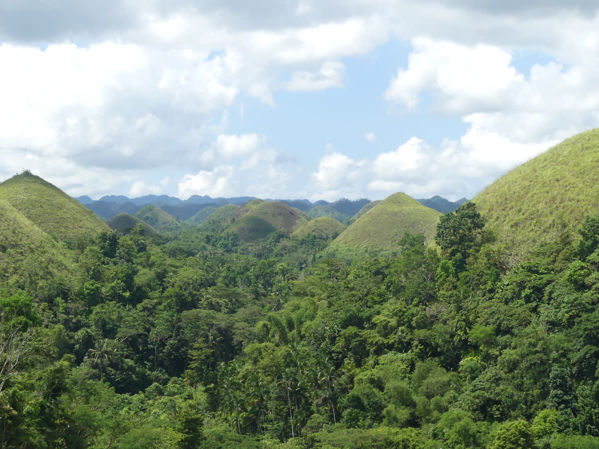Chocolate hills 
