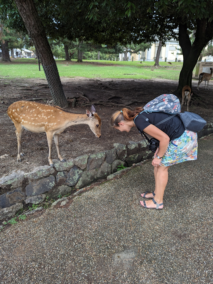 Vzájemné klanění Vzájemné klanění
