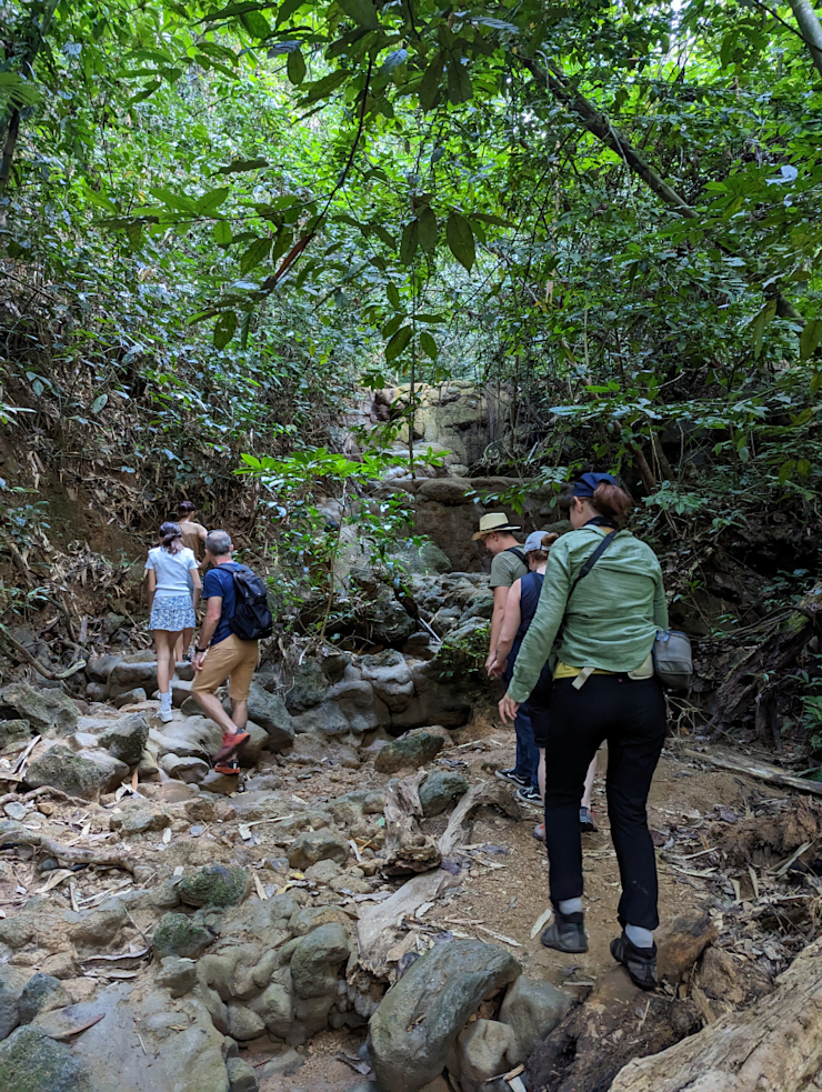 Trekování v džungli Trekování v džungli