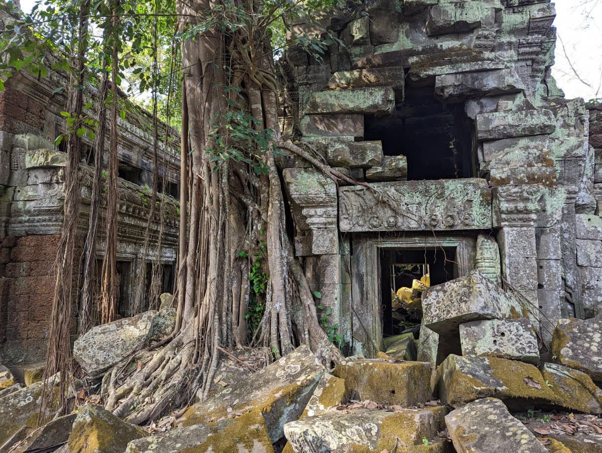 Ta Phrom AKA chrám Lary Croft
