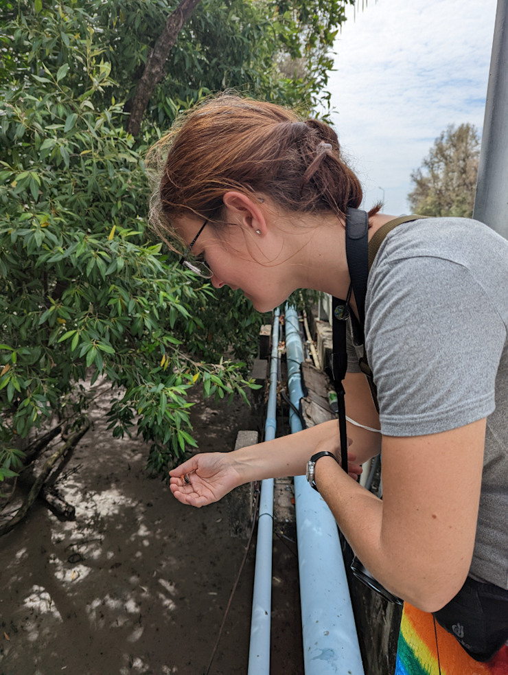 Objevuj to krásné Objevuj to krásné