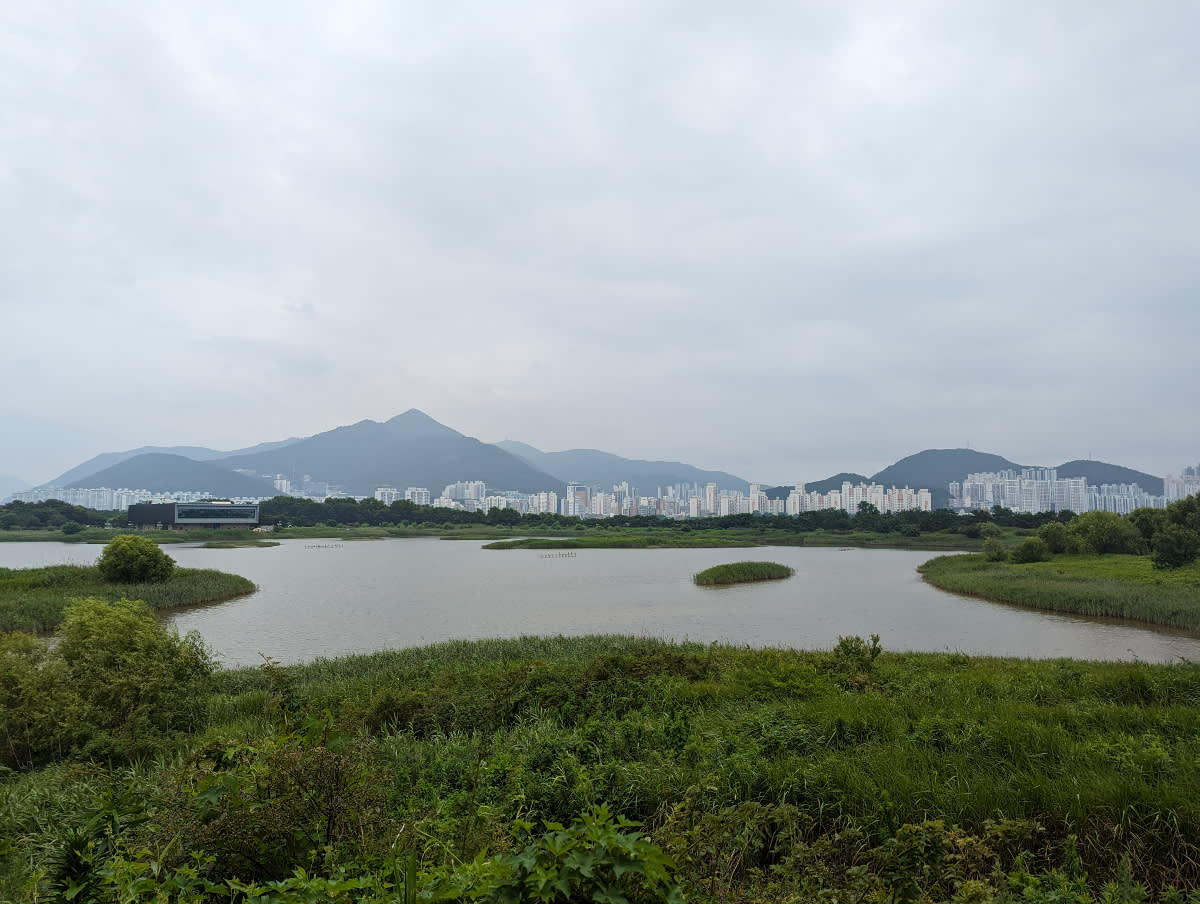 V dáli město Busan