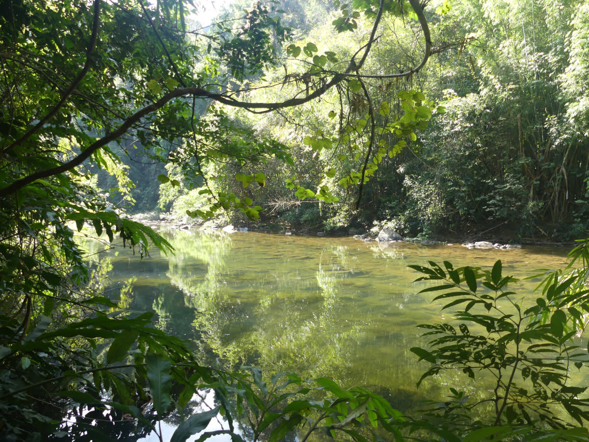 Řeka Sok