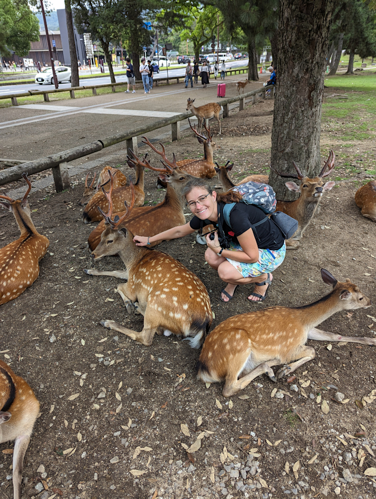 Hele! Jeleni! Hele! Jeleni!