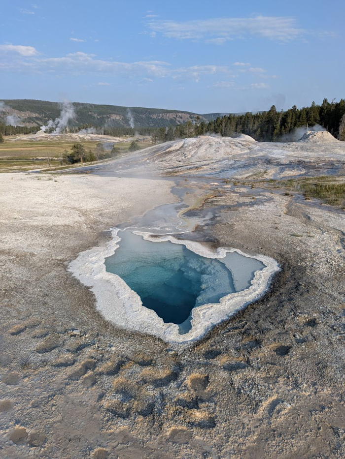 Heart spring