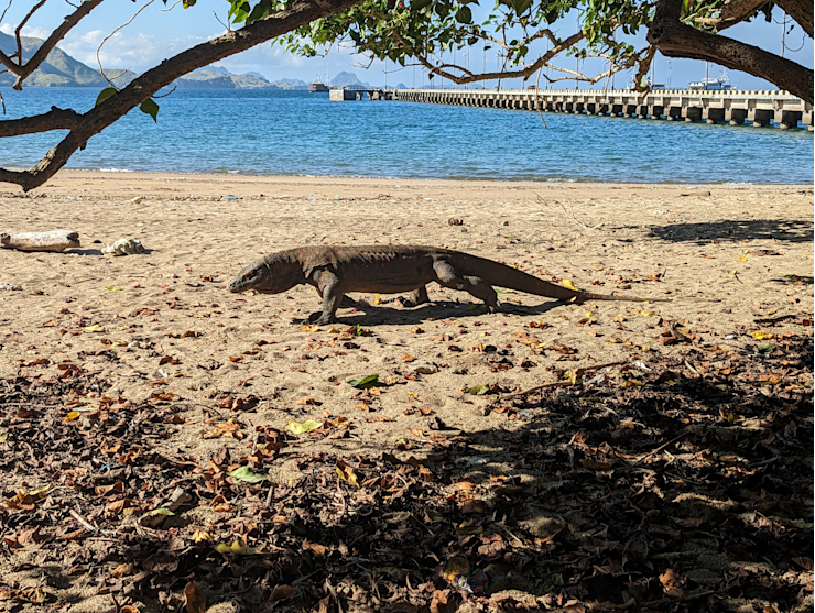 Procházka po pláži Procházka po pláži