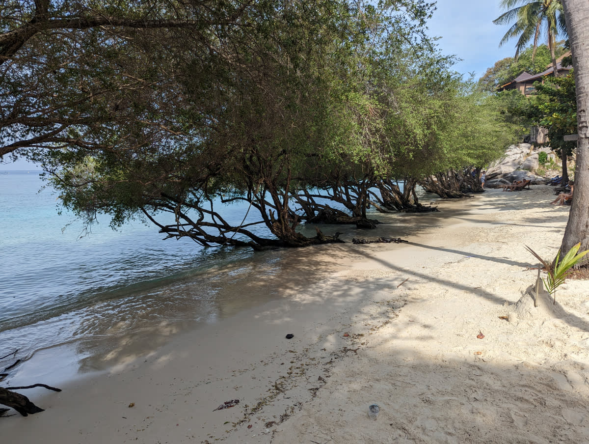 Freedom beach 