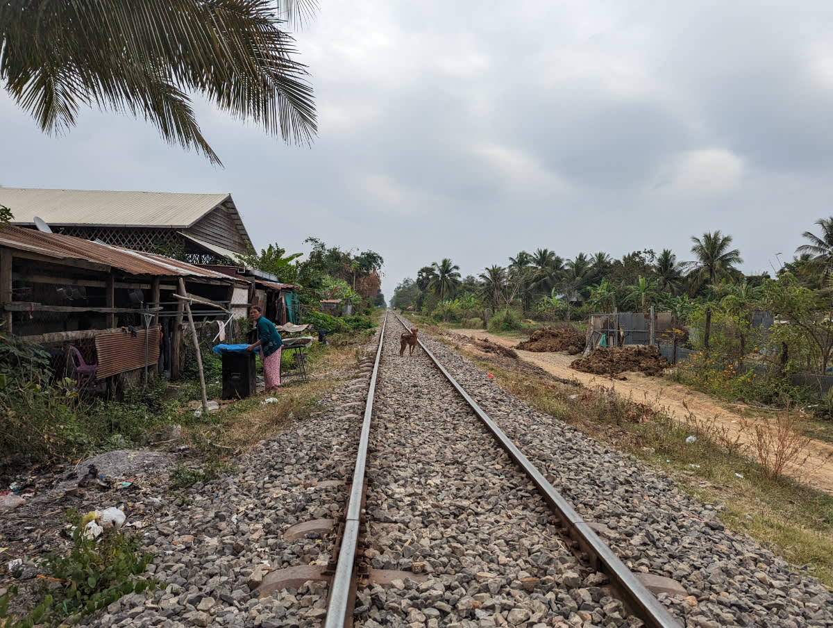 Bamboo train