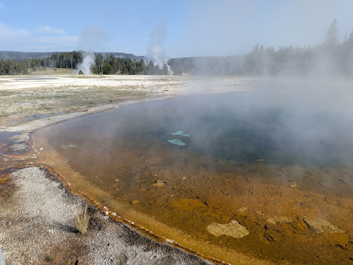 Beauty pool