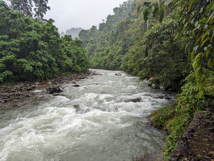 Řeka Sungai Bohorok