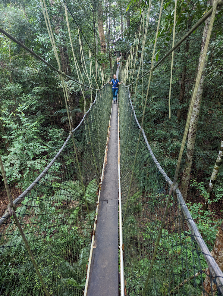 Stezka v korunách Stezka v korunách