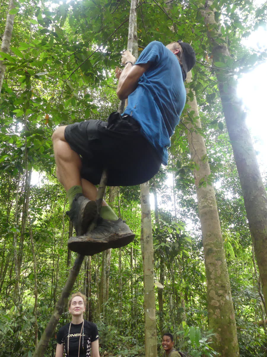 Tarzan