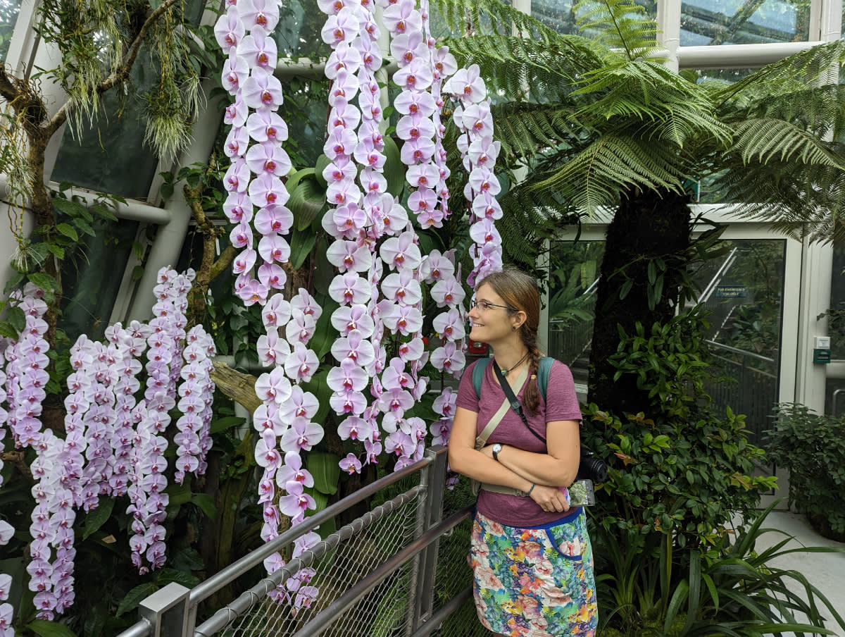 Orchidejové provazy 
