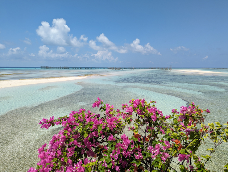 Krásné barvy Krásné barvy