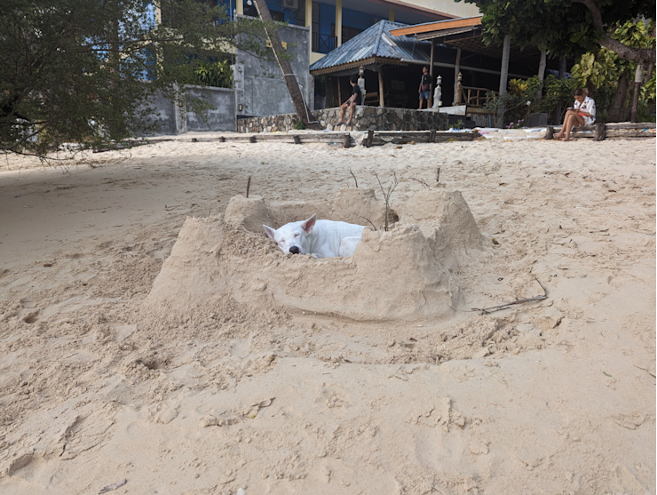 Psí pevnost Psí pevnost