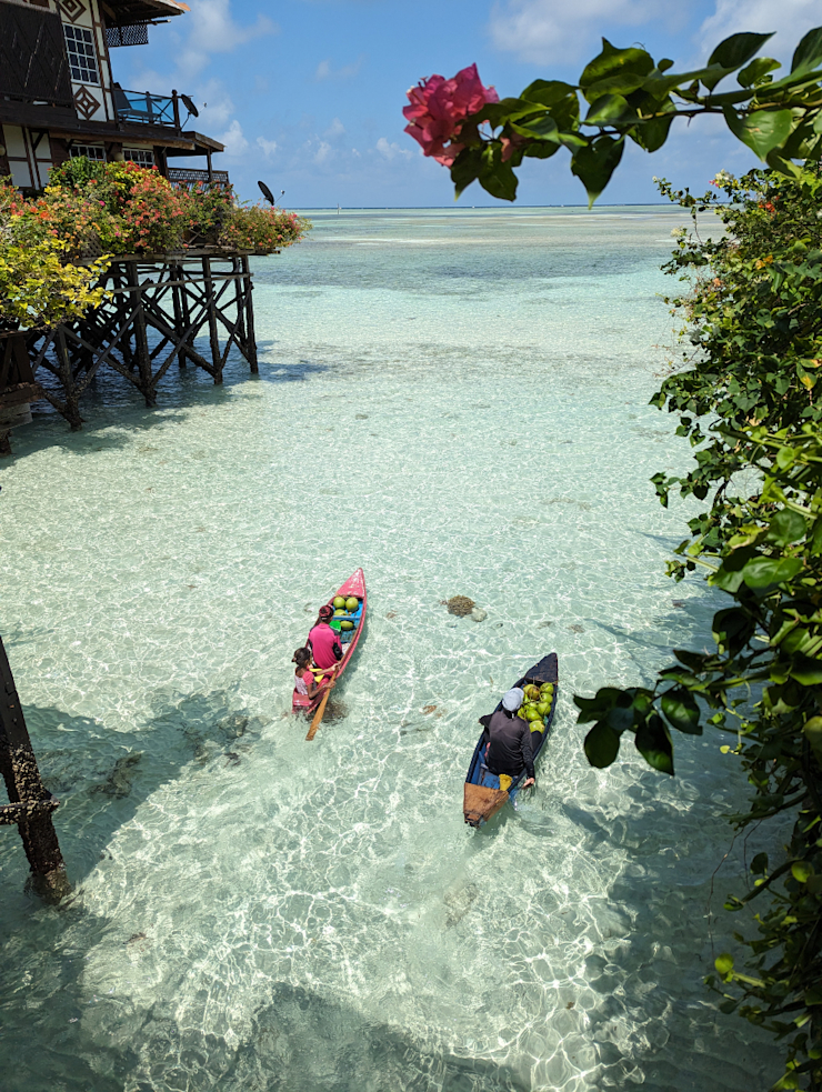 Místní prodejci kokosů Místní prodejci kokosů