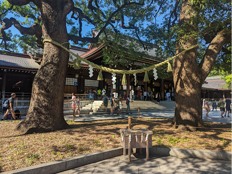 Stromy manželských přání Stromy manželských přání