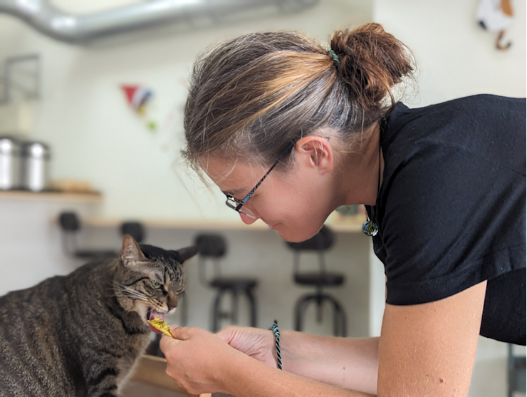 Tiše mu závidím! Tiše mu závidím!