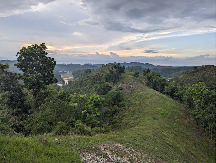 Hledáme nártouny Hledáme nártouny