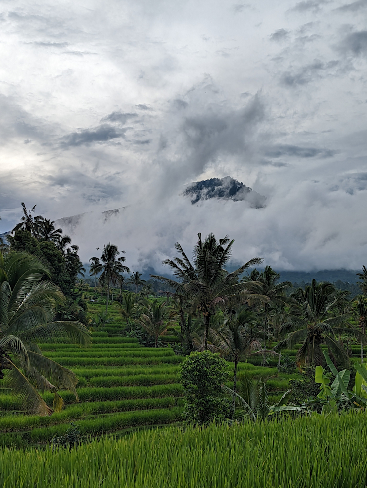 Rýžová pole v horách Rýžová pole v horách