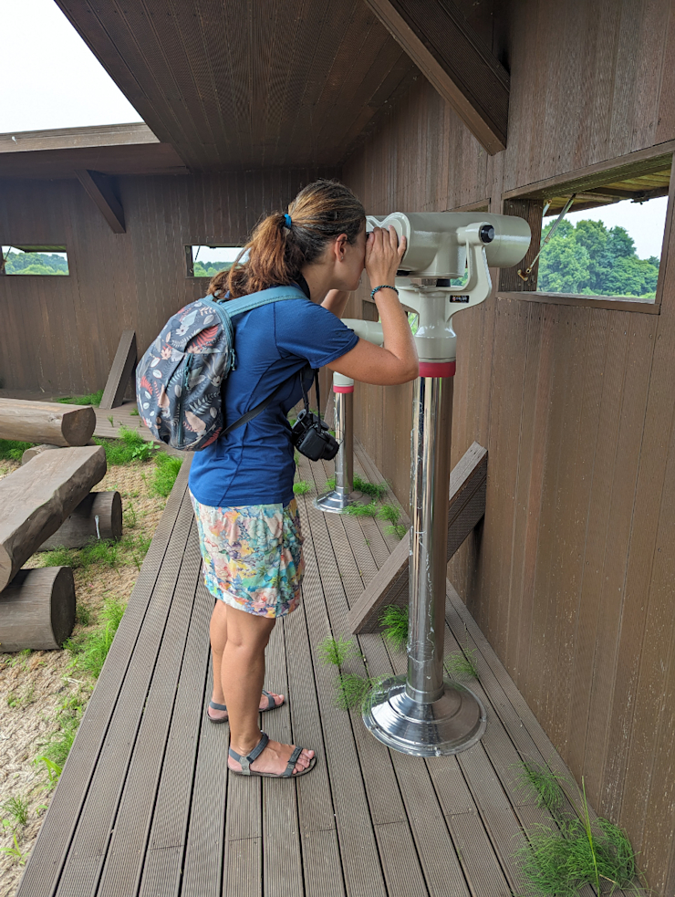 Marťa pozoruje ptáky Marťa pozoruje ptáky