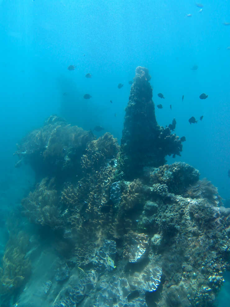 Vrak japonské lodi Vrak japonské lodi