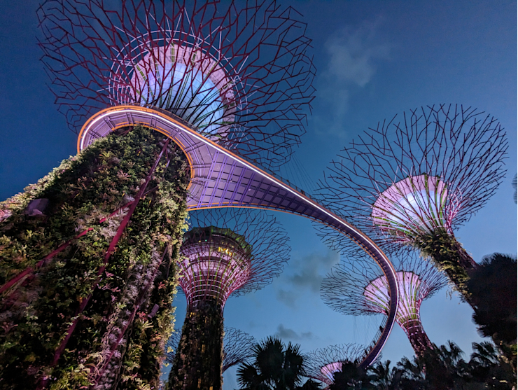 Světelná show - super trees Světelná show - super trees