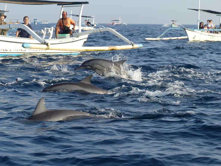 Nezapomenutelný zážitek Nezapomenutelný zážitek
