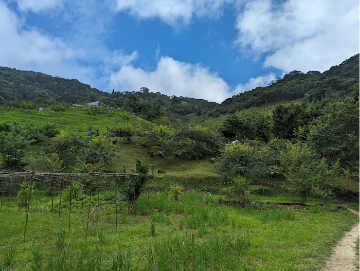 Vesnička Da Li Vesnička Da Li