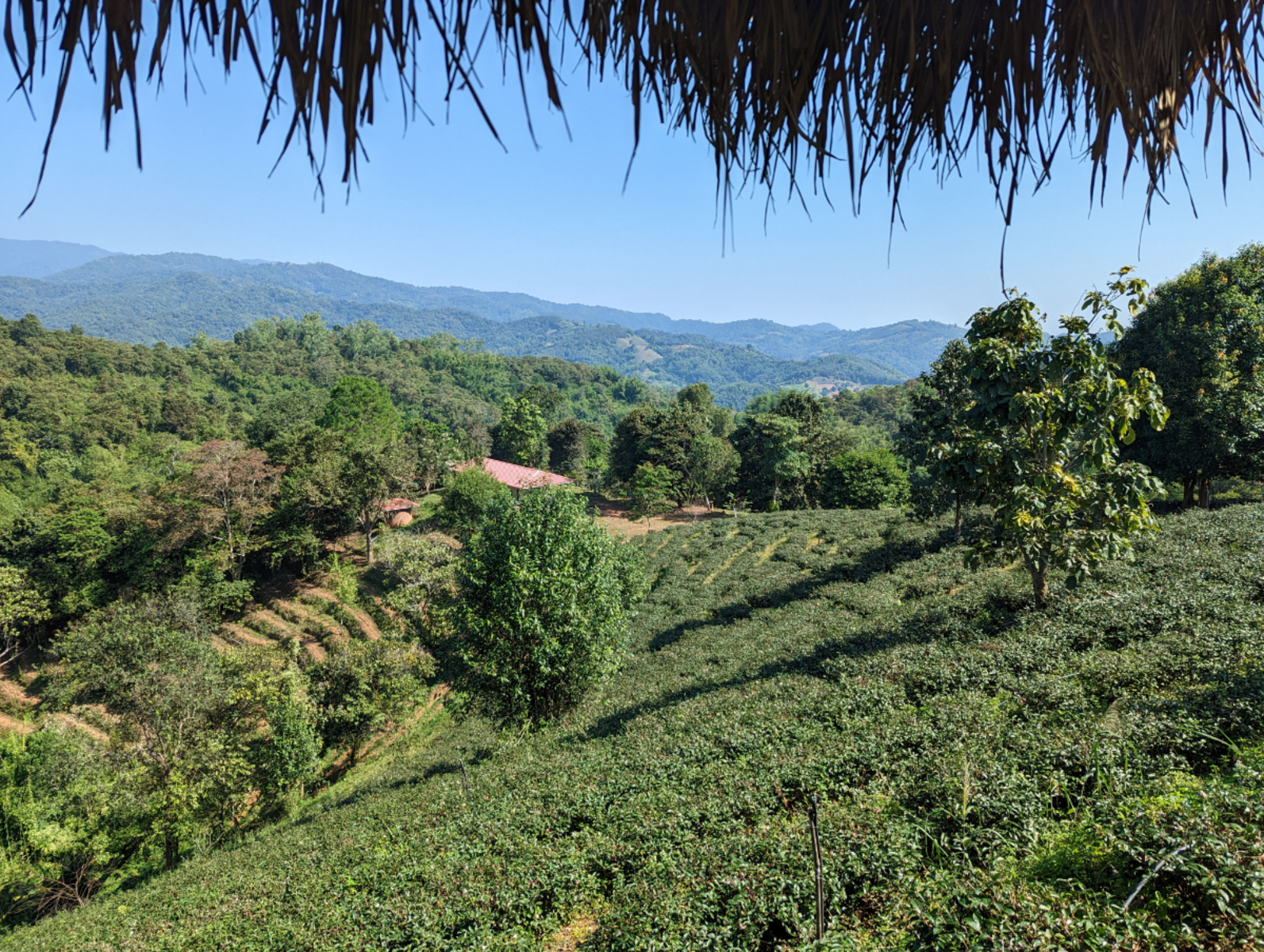 Na sever až k Barmským hranicím Na sever až k Barmským hranicím