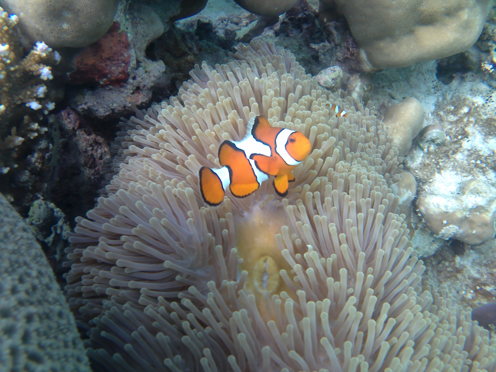 Tak tohle je ráj?! Tak tohle je ráj?!