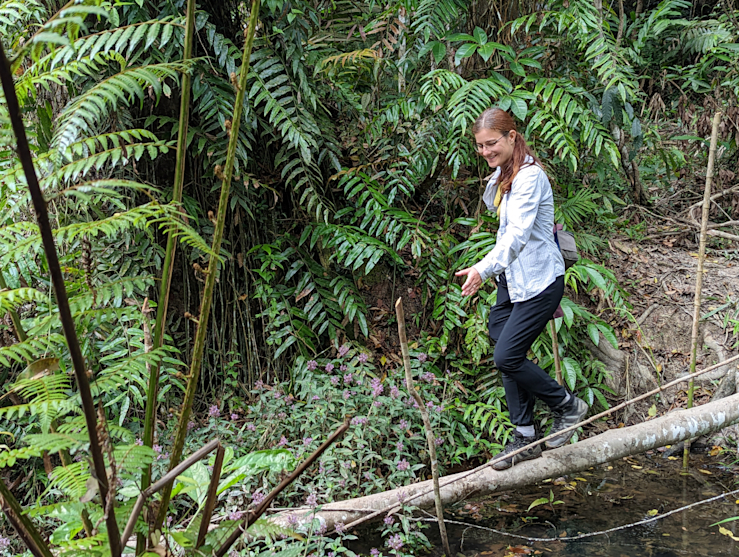 Jungle trekking