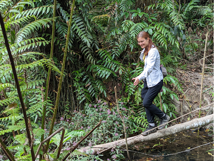 Jungle trekking Jungle trekking