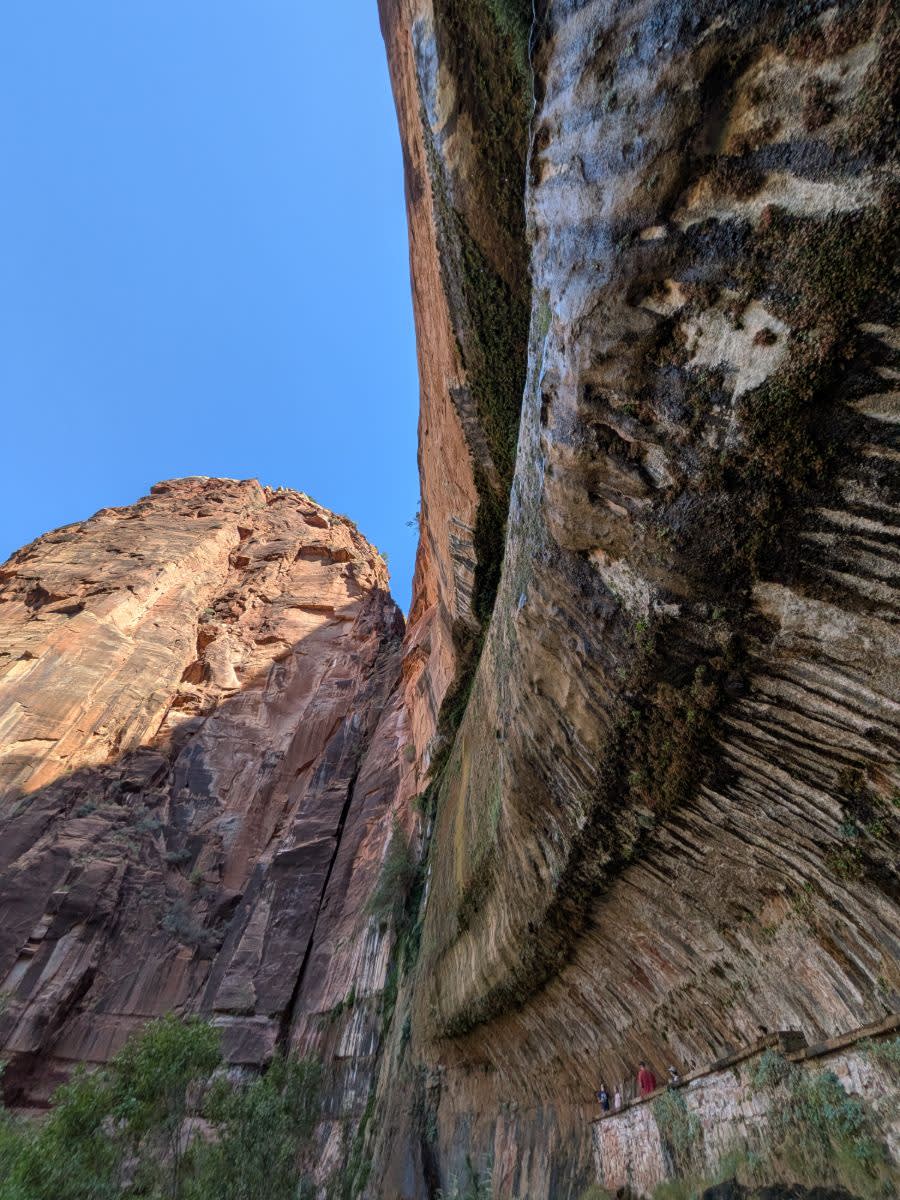 Weeping rock