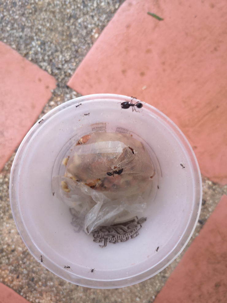 Komando útočí 3 Komando útočí 3