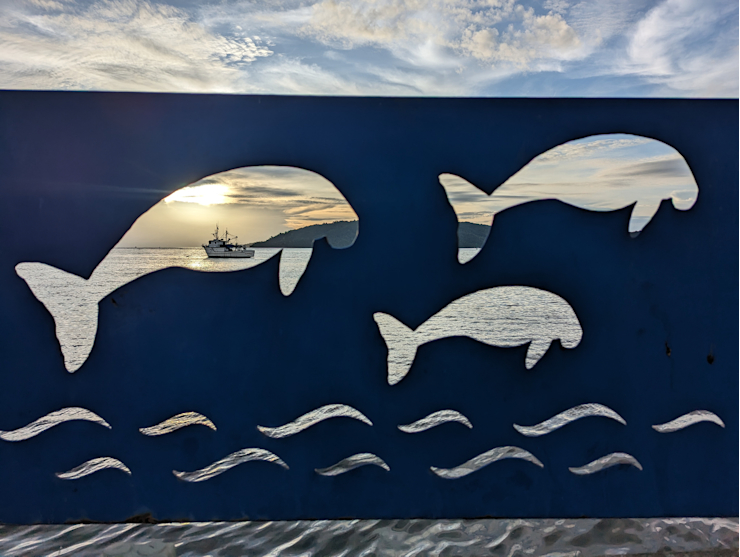 Pohled skrz Pohled skrz