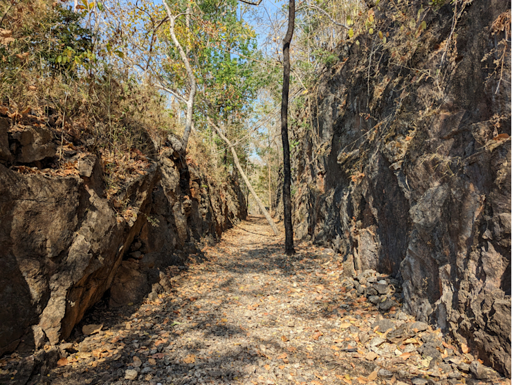 Skoro podzim Skoro podzim