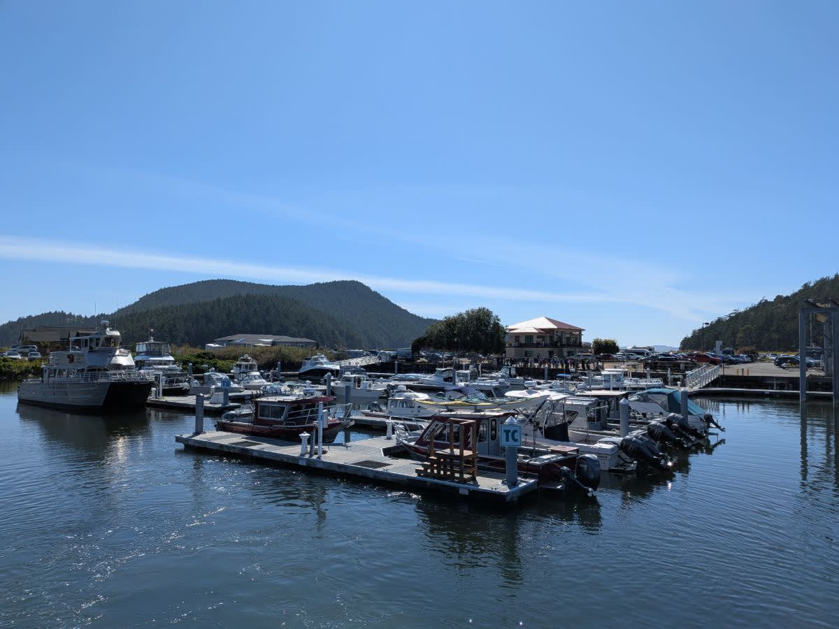 Anacortes