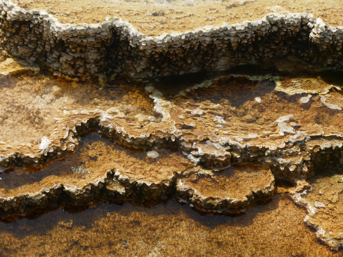 Mound spring