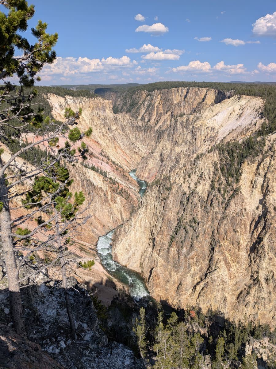 Malebná řeka Yellowstone