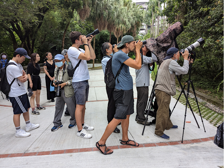 IT není dost dobrý, ornitologie? IT není dost dobrý, ornitologie?