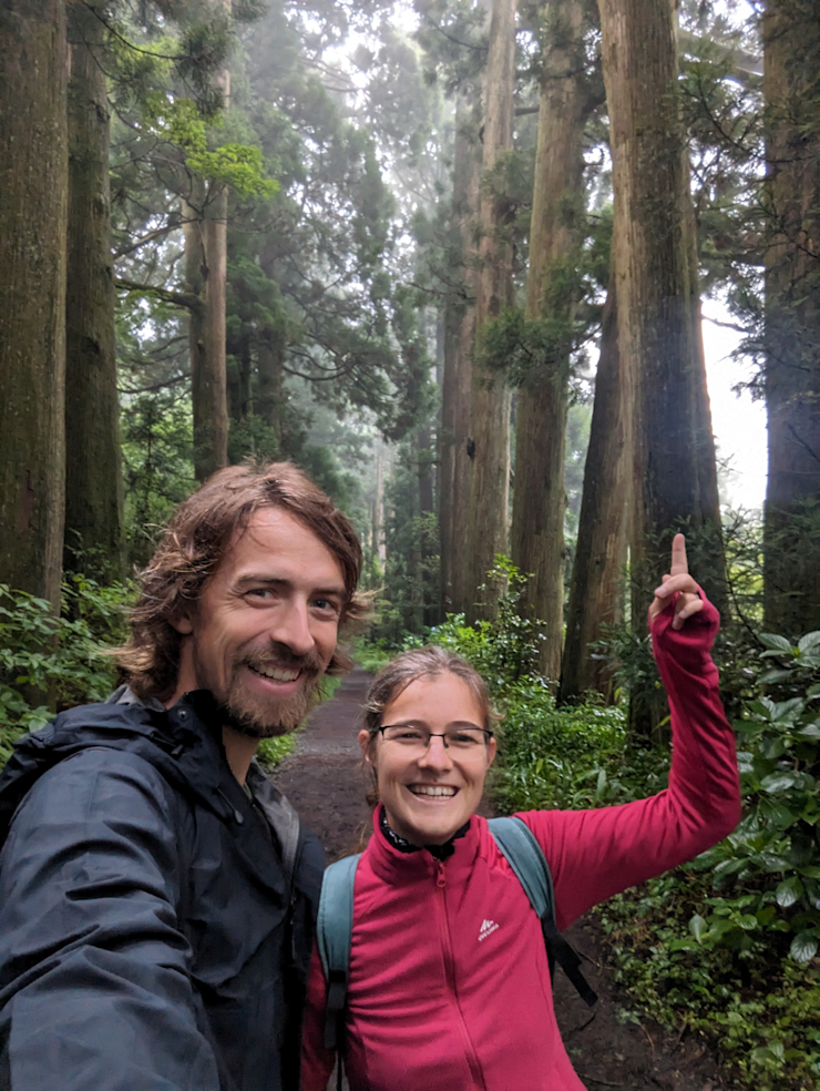 Cedry a takhle vysoký? Cedry a takhle vysoký?