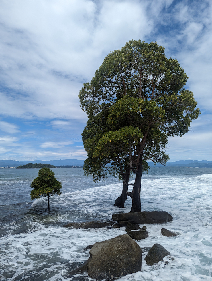 To je krásné! To je krásné!
