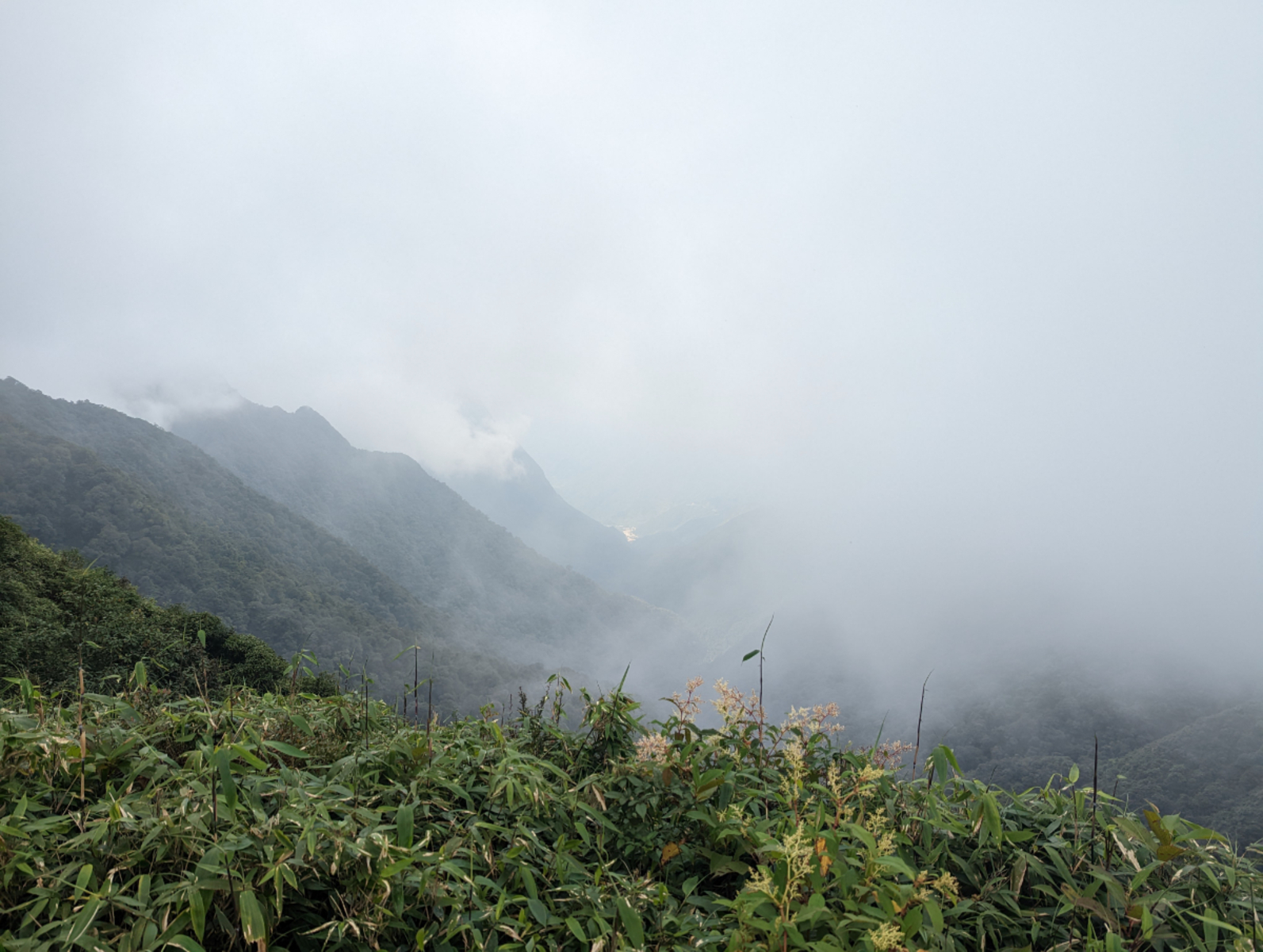 Udolá nás Sapa a Fan Si Pan? Udolá nás Sapa a Fan Si Pan?