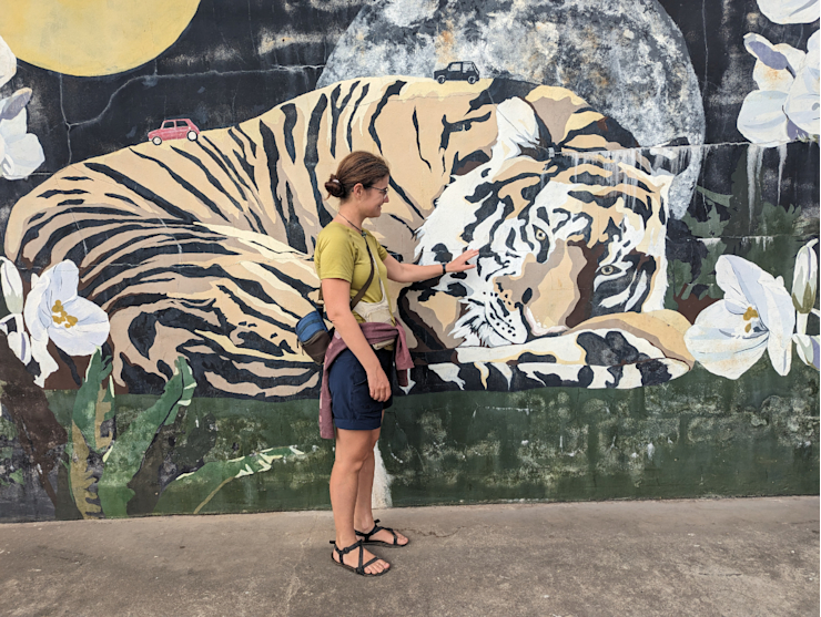 Že by to byl tygr? Že by to byl tygr?