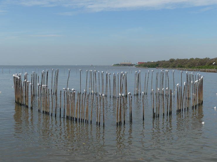 Srdce u moře Srdce u moře