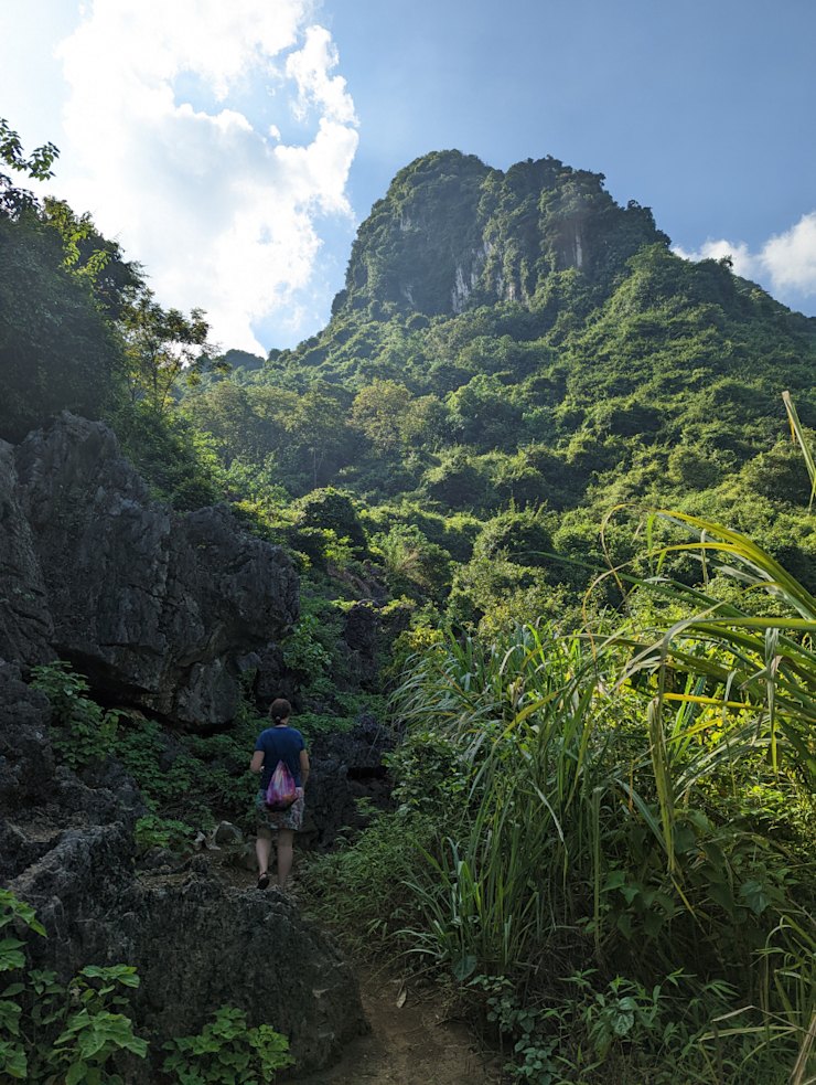 Úžasné lesy Úžasné lesy