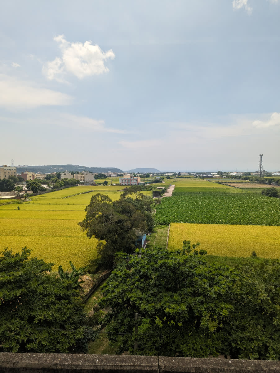 Rýžová pole