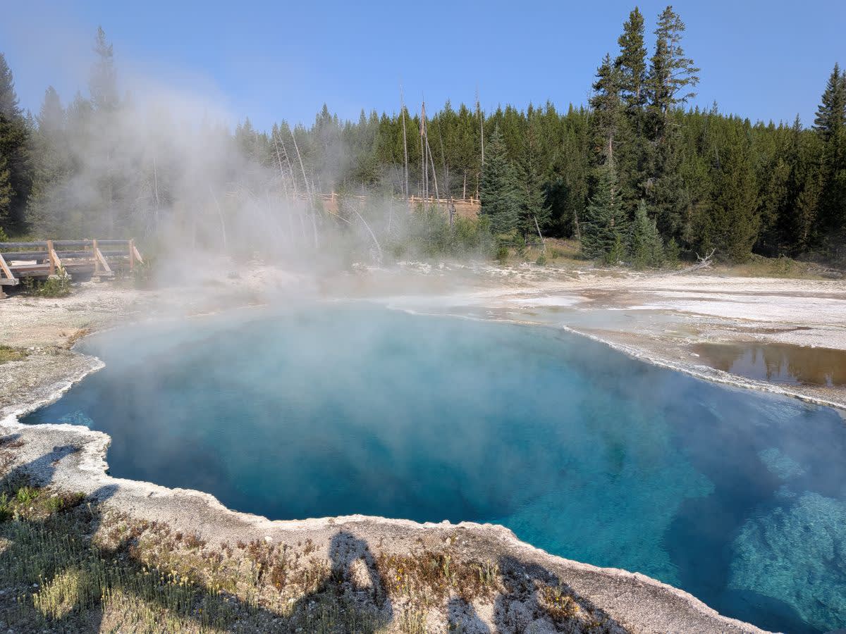 Ephedra pool